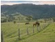 974C Lambs Valley Road, Lambs Valley NSW 2335