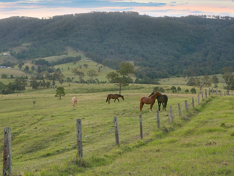 974C Lambs Valley Road, Lambs Valley NSW 2335