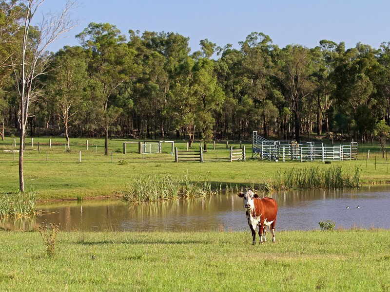 117 Kelman Street, Lower Belford NSW 2335