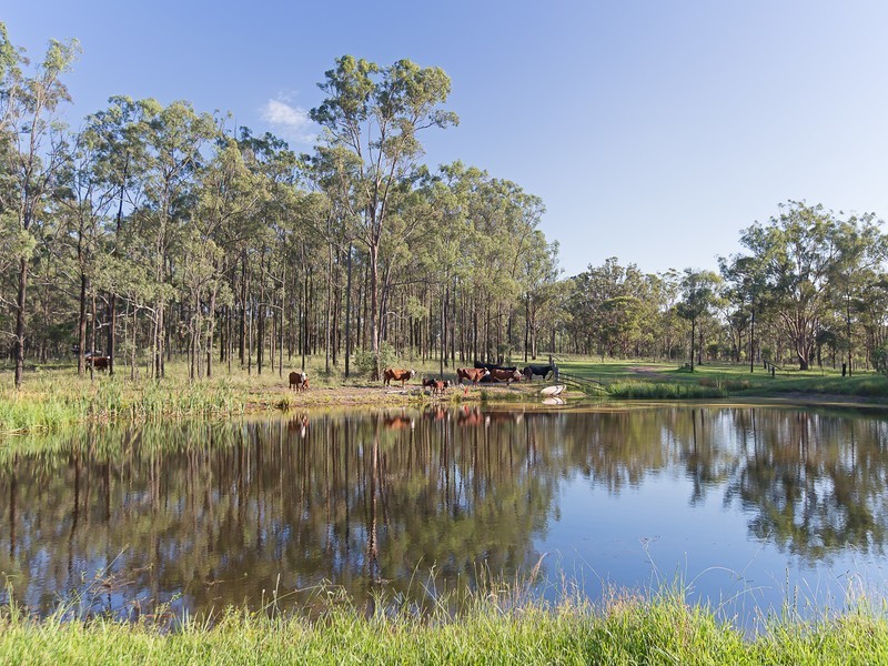 117 Kelman Street, Lower Belford NSW 2335