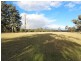 310 Lovedale Road, Lovedale NSW 2325