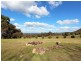 10 Pyne Way, Mount View NSW 2325