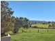 2653 Glendonbrook Road, Gresford NSW 2311