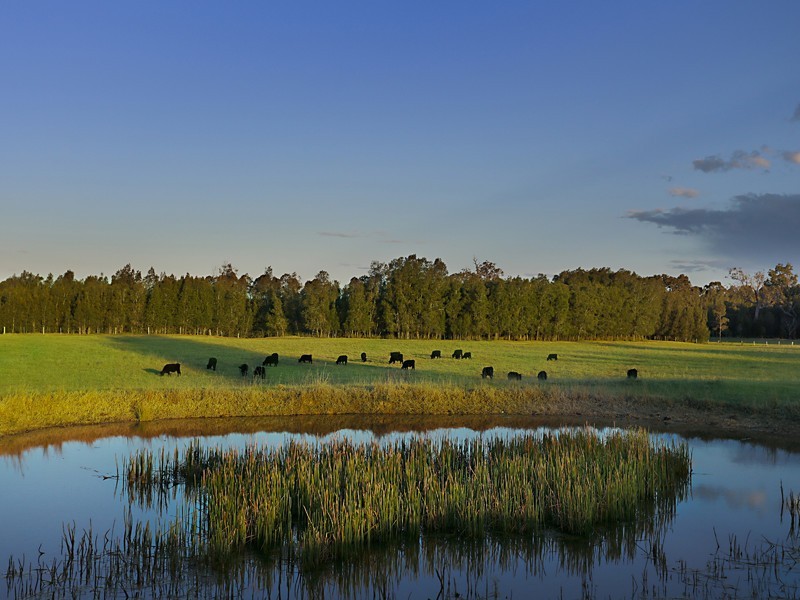 778 Old North Road, Pokolbin NSW 2320