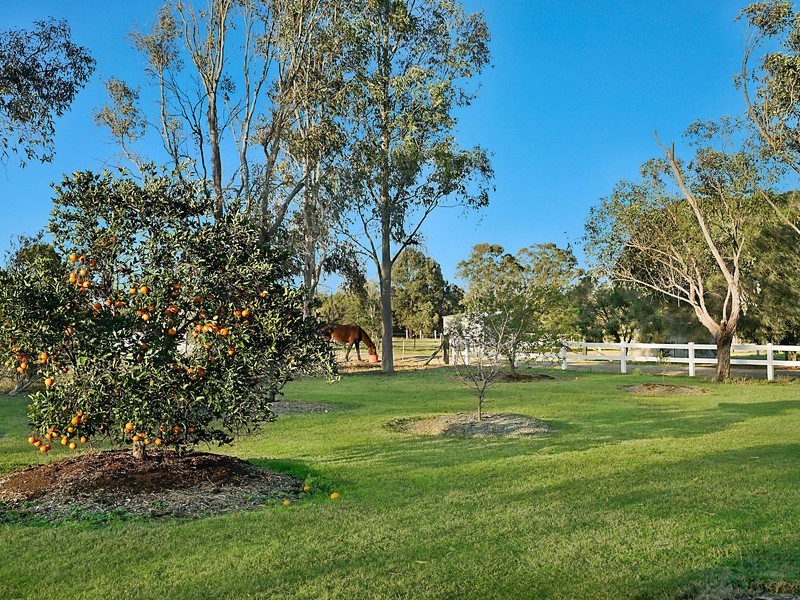 778 Old North Road, Pokolbin NSW 2320