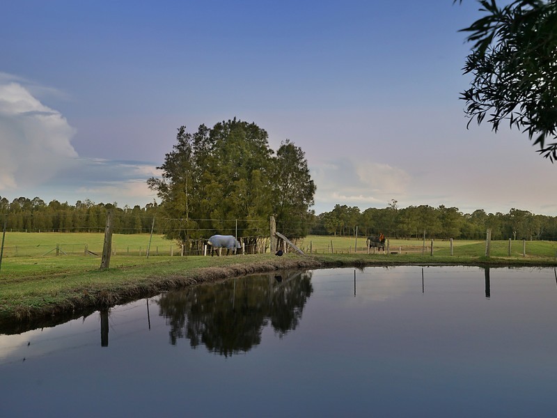 778 Old North Road, Pokolbin NSW 2320