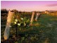 2450 Broke Road, Pokolbin NSW 2320