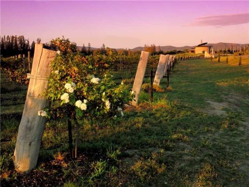 2450 Broke Road, Pokolbin NSW 2320