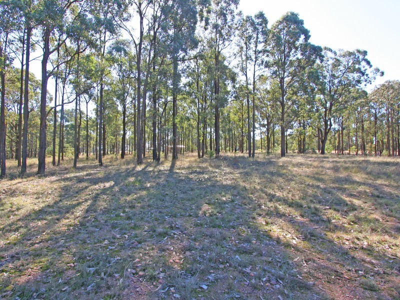 Lot 11 Robertson Circuit, Singleton NSW 2330