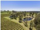 270 Old North Road, Pokolbin NSW 2320