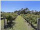270 Old North Road, Pokolbin NSW 2320