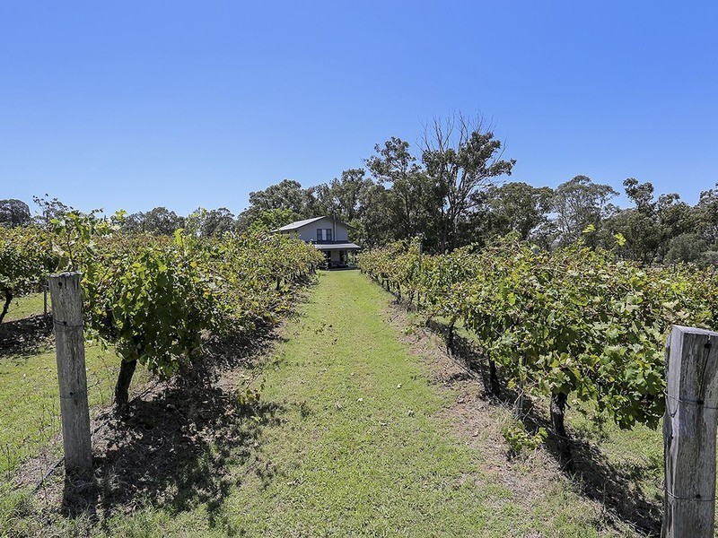 270 Old North Road, Pokolbin NSW 2320
