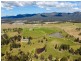 138 Mistletoe Lane, Pokolbin NSW 2320