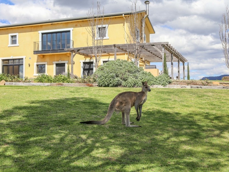 138 Mistletoe Lane, Pokolbin NSW 2320