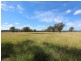 57 Christy Road, Cessnock NSW 2325