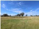 57 Christy Road, Cessnock NSW 2325