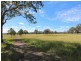 57 Christy Road, Cessnock NSW 2325