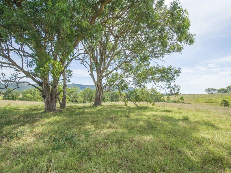 627 Martins Creek Road, Paterson NSW 2421