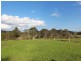 627 Martins Creek Road, Paterson NSW 2421