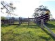 627 Martins Creek Road, Paterson NSW 2421