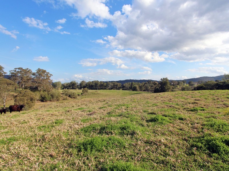 627 Martins Creek Road, Paterson NSW 2421