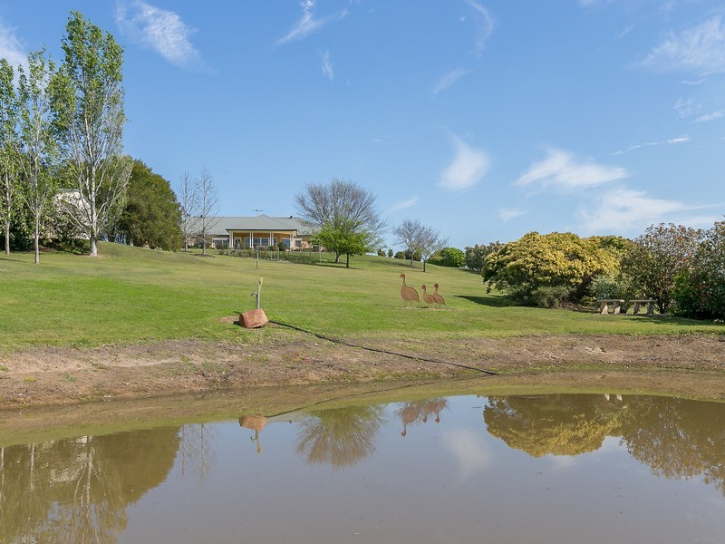 168 Brokenback Road, Branxton NSW 2335