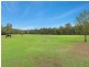 50 Clift Street, Greta NSW 2334