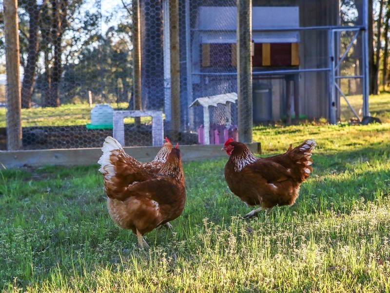 144 Frame Drive, Sawyers Gully NSW 2326