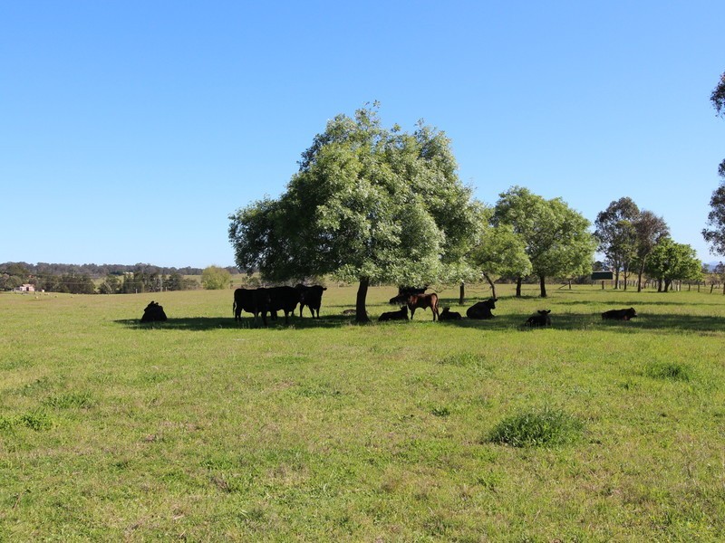 2490C New England Highway, Branxton NSW 2335