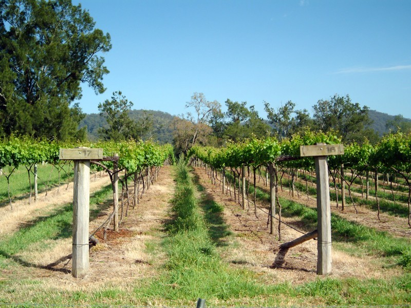 1840 Wollombi Road, Cedar Creek NSW 2325