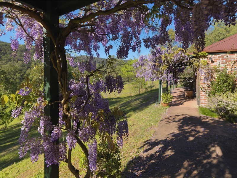 1840 Wollombi Road, Cedar Creek NSW 2325