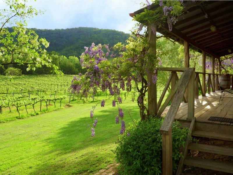 1840 Wollombi Road, Cedar Creek NSW 2325