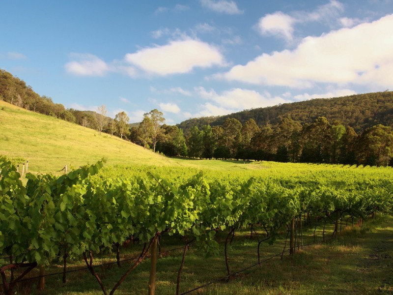 1840 Wollombi Road, Cedar Creek NSW 2325