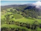 1840 Wollombi Road, Cedar Creek NSW 2325
