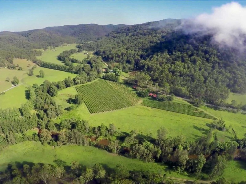 1840 Wollombi Road, Cedar Creek NSW 2325