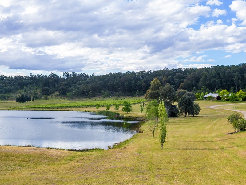 1297 Broke Road, Broke NSW 2330