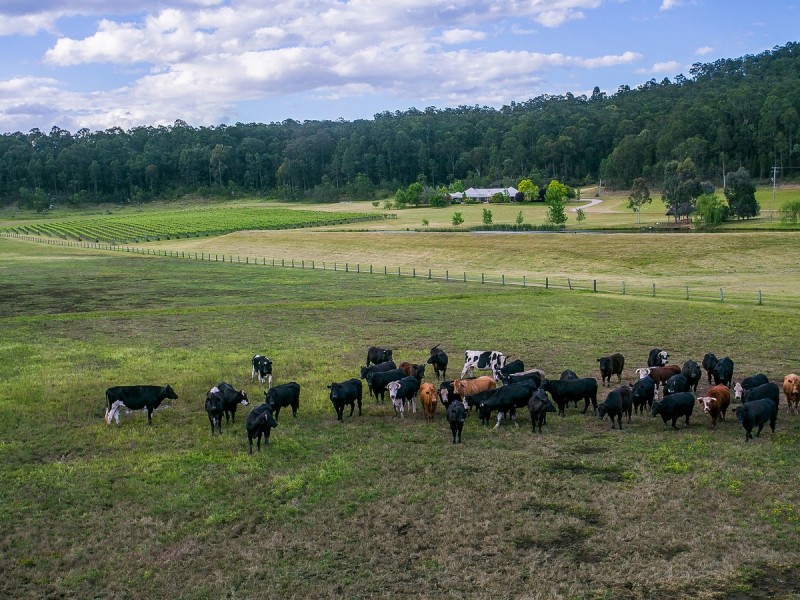 1297 Broke Road, Broke NSW 2330