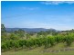 Lovedale NSW 2325