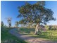 792 Allyn River Road, Gresford NSW 2311