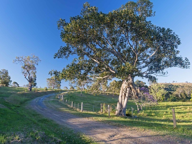 792 Allyn River Road, Gresford NSW 2311