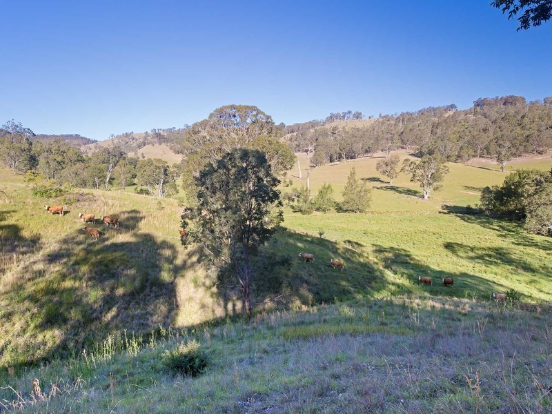 792 Allyn River Road, Gresford NSW 2311