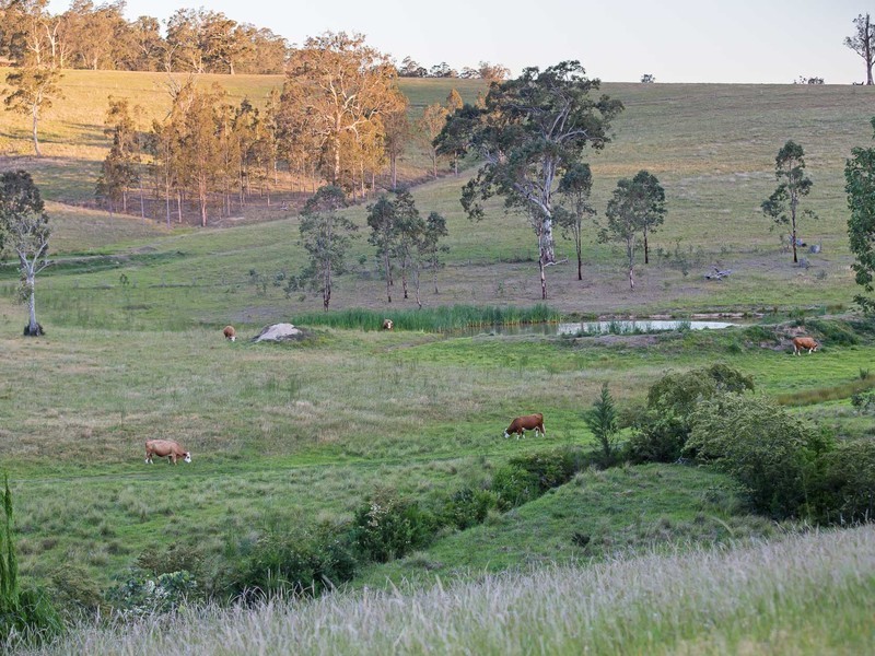 792 Allyn River Road, Gresford NSW 2311