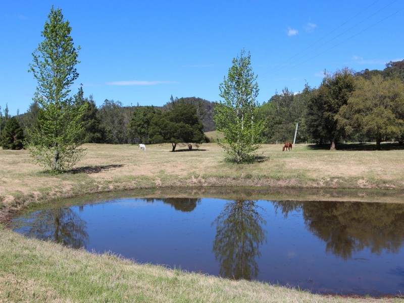 2410 Wollombi Road, Wollombi NSW 2325