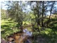 2410 Wollombi Road, Wollombi NSW 2325