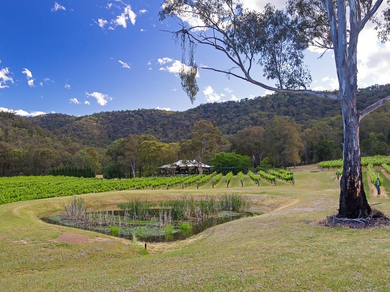 940 Milbrodale Road, Broke NSW 2330