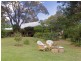 940 Milbrodale Road, Broke NSW 2330