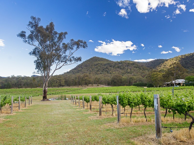940 Milbrodale Road, Broke NSW 2330