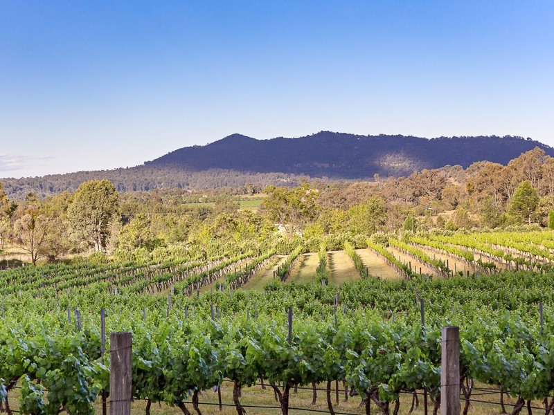 940 Milbrodale Road, Broke NSW 2330