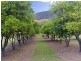 940 Milbrodale Road, Broke NSW 2330