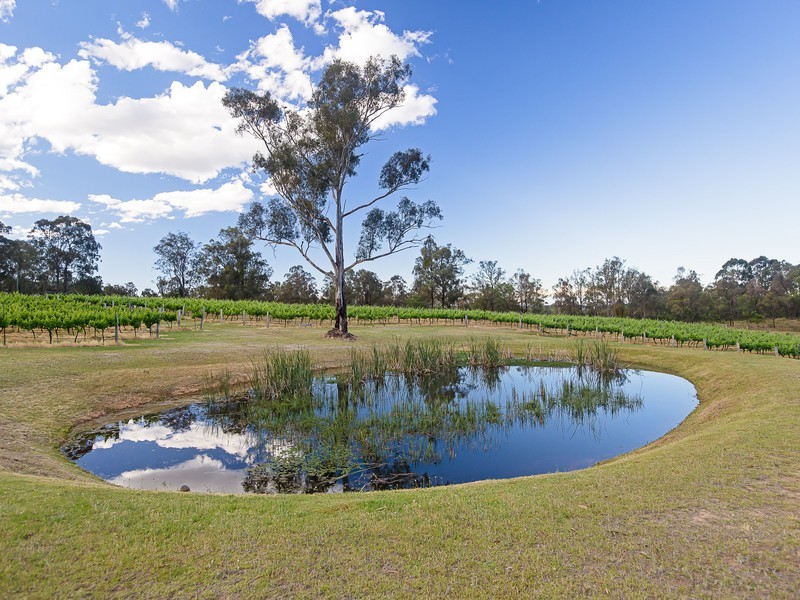 940 Milbrodale Road, Broke NSW 2330